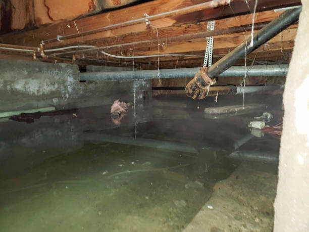 Best Ceiling water damage repair  in Mentor, OH