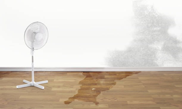 Best Commercial water damage restoration  in Mentor, OH
