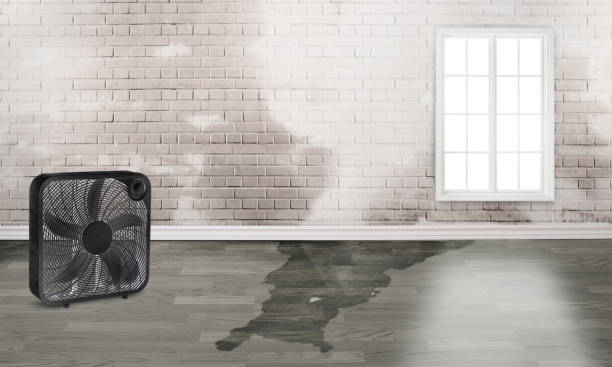 Best Water damage restoration near me  in Mentor, OH