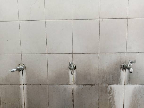 Best Sewage cleanup and water damage restoration  in Mentor, OH