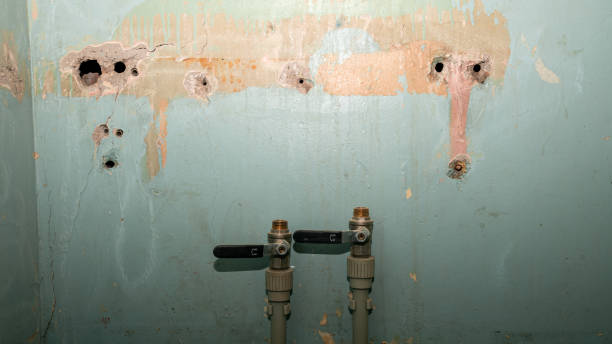 Best Water damage contractors near me  in Mentor, OH