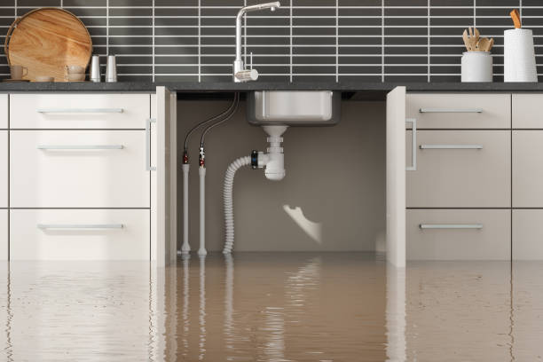 Best 24/7 water damage repair  in Mentor, OH