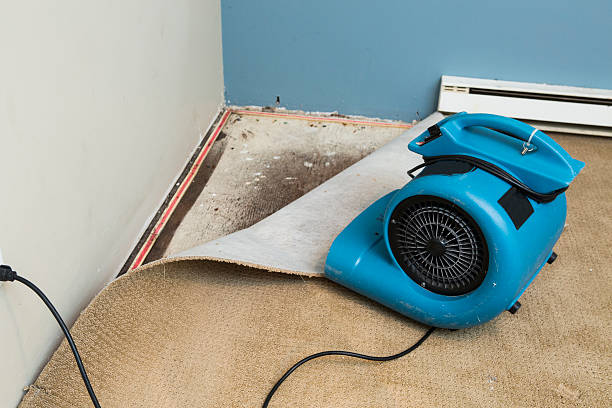 Best Fire Damage Restoration  in Mentor, OH